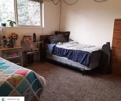 $313 / 2br - 938ft2 - Female shared-room contract REDUCED! $995 Spring semester